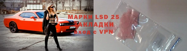 мдпв Верея