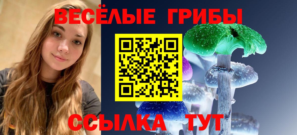 Псилоцибиновые грибы Magic Shrooms Можайск